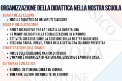 Orientamento 2024 -2025