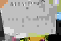 450410952_122176837376070152_5192461074379671568_n